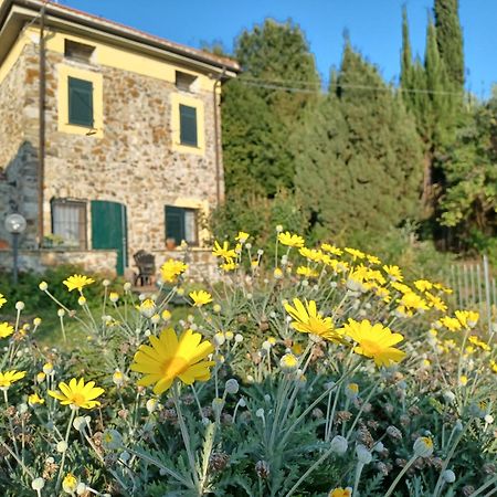 Villa Il Fontolo à Ponzano Superiore Extérieur photo