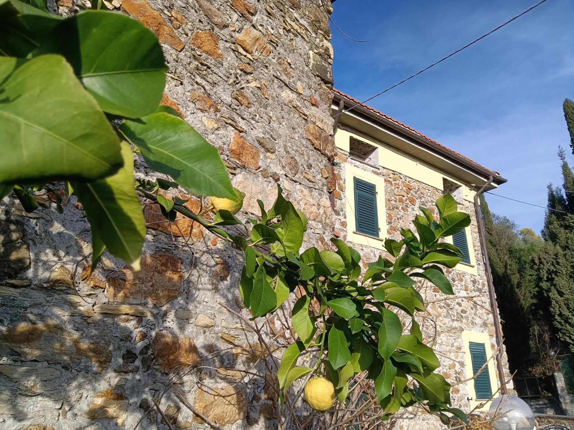 Villa Il Fontolo à Ponzano Superiore Extérieur photo