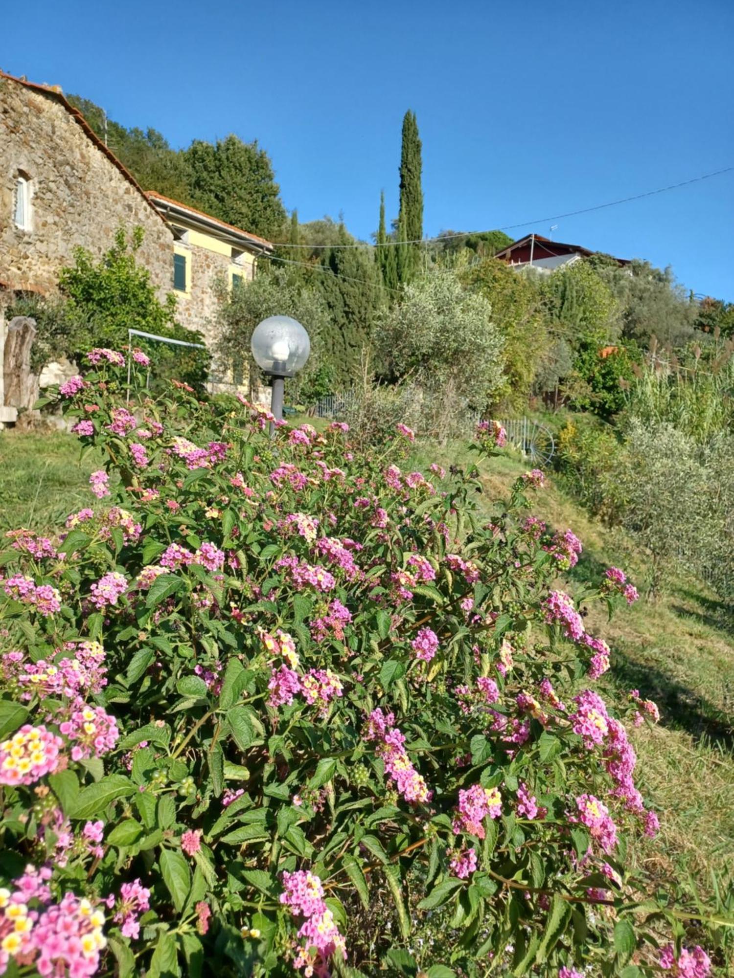 Villa Il Fontolo à Ponzano Superiore Extérieur photo
