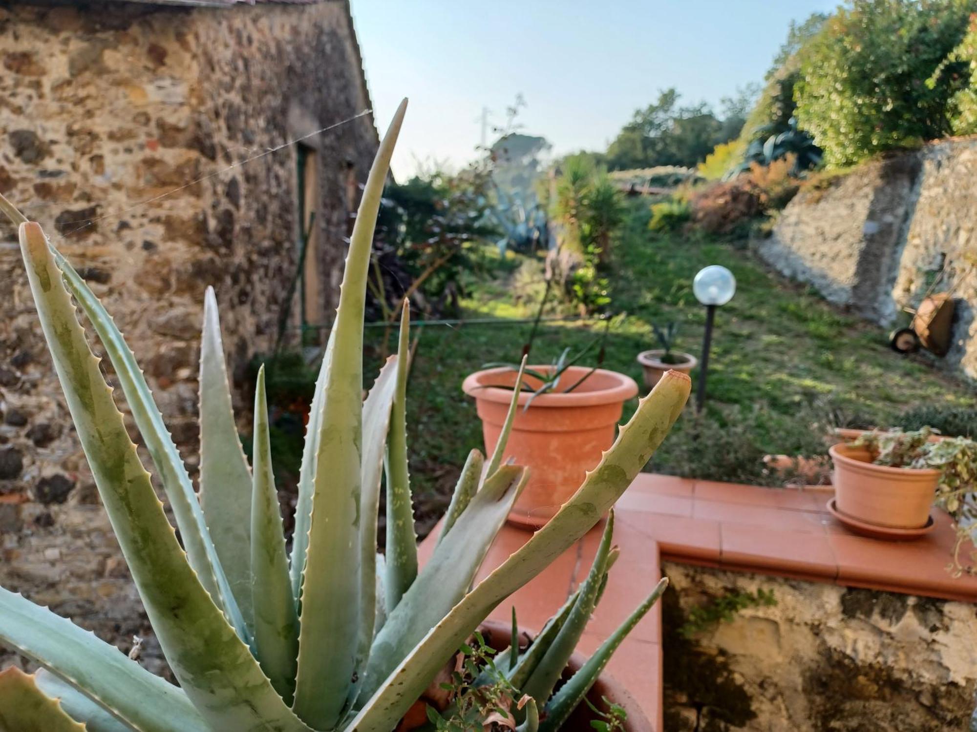 Villa Il Fontolo à Ponzano Superiore Extérieur photo