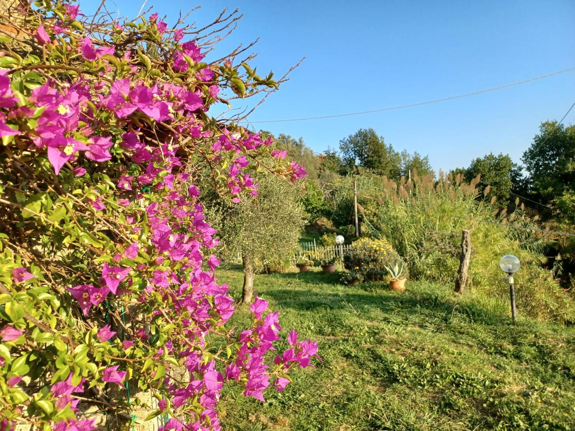 Villa Il Fontolo à Ponzano Superiore Extérieur photo