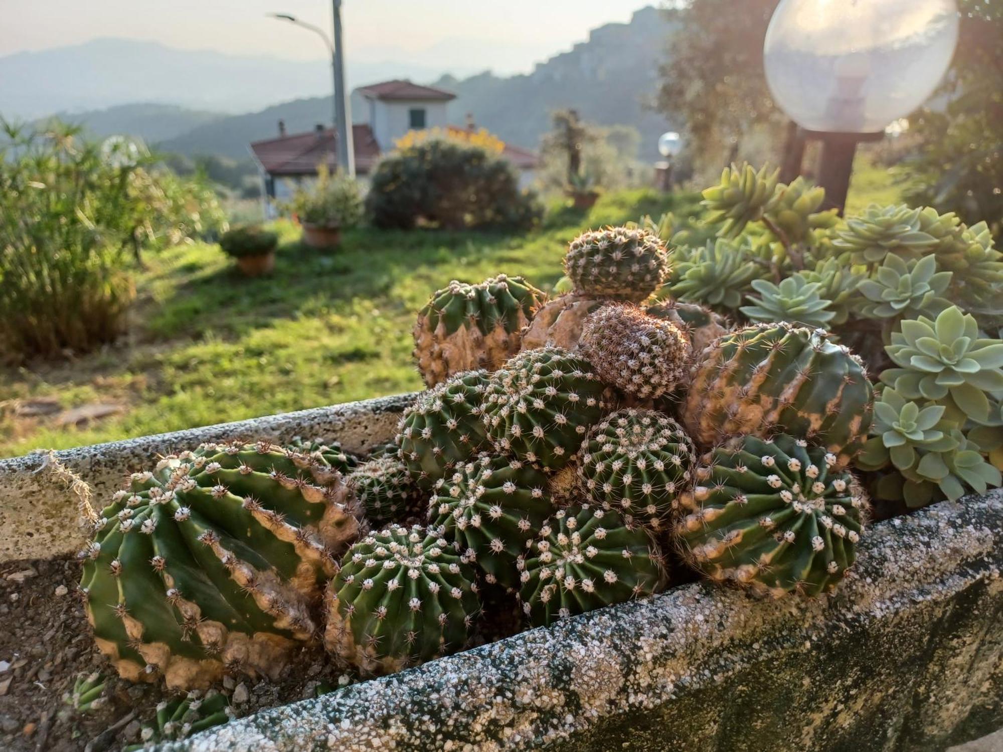 Villa Il Fontolo à Ponzano Superiore Extérieur photo